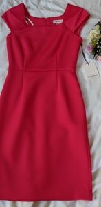 Hot pink Calvin Klein dress